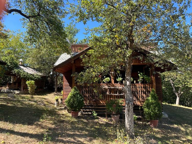 Casa de vacanta situata pe Calea Dumbravii