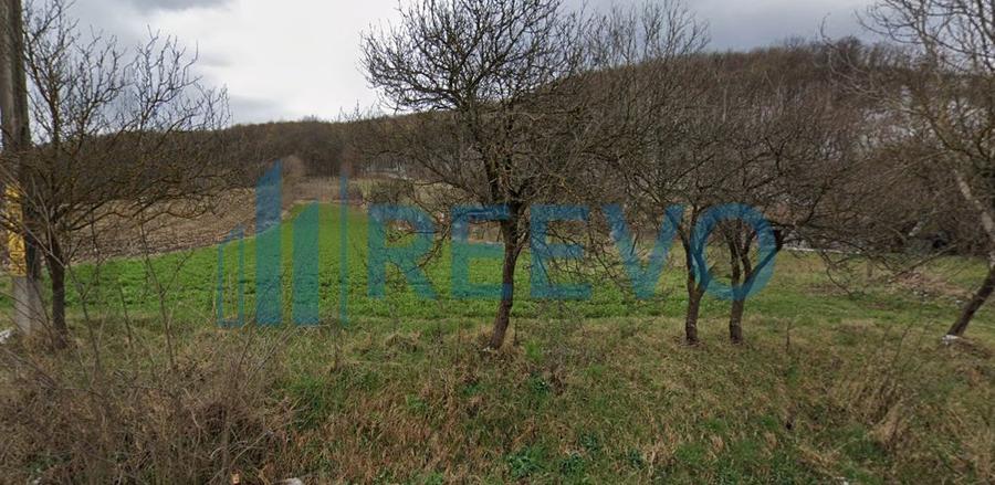 Vanzare Teren - Comuna Beresti-Tazlau, sat Bosoteni