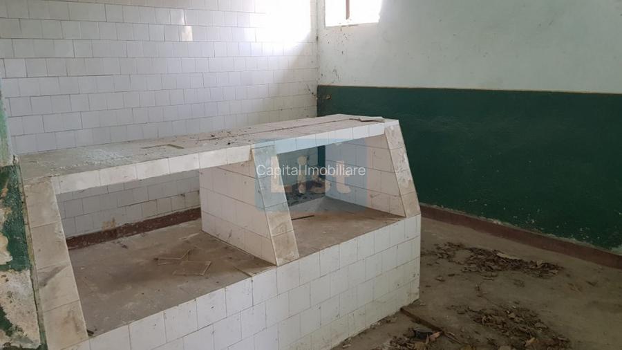 Comision 0%, Doman, Constructie 698 mp si 1800 mp de teren - 10