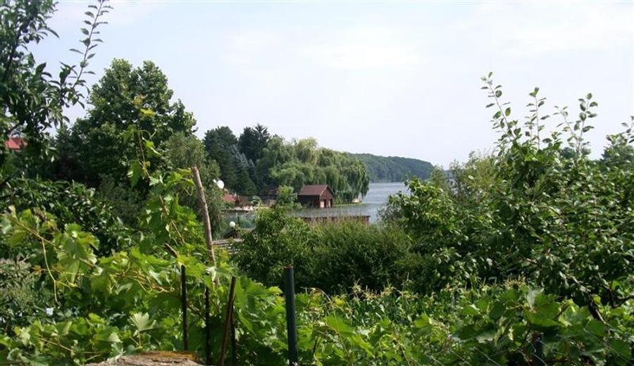 Snagov, casa 5 camere, 2021, Snagov, Ghermanesti