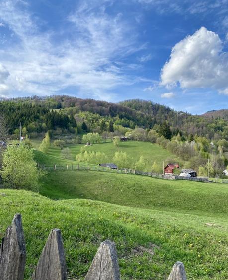Teren panoramic însorit, utilități, panta mica si pădure, turism sau vacanță