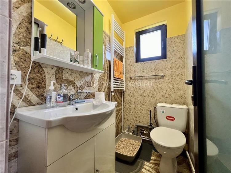 Vila cu 4 camere si 2 bai, 856mp de teren, de vanzare in Dancas - 13