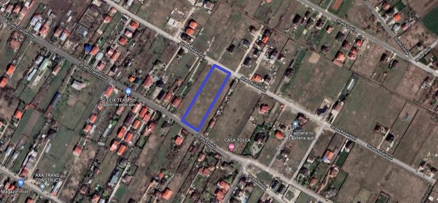 Inchiriere teren intravilan Cornetu / zona str. Trandafirilor, 4.500 mp, D: 31 m