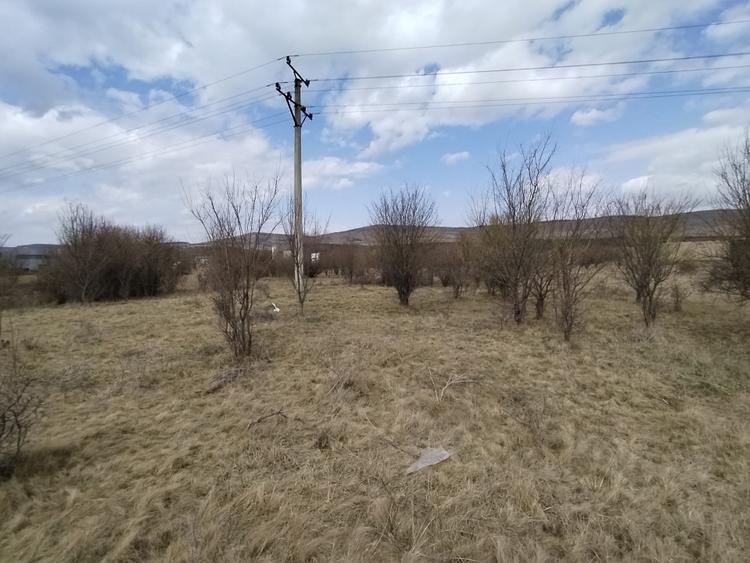 Teren de vanzare, 1.3HA., utilitati, acces din DN