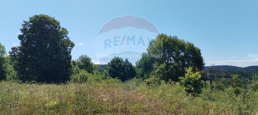Teren 3,871mp Varmaga / None - 4