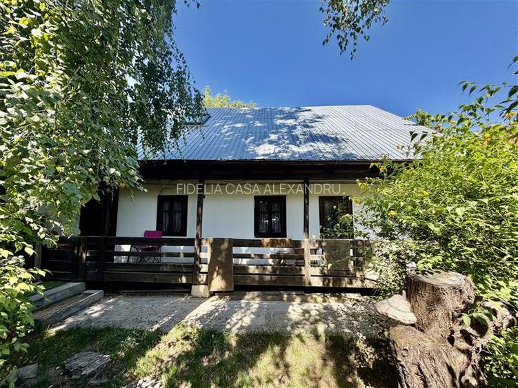Case vile de vanzare Miroslava-Iasi - 7