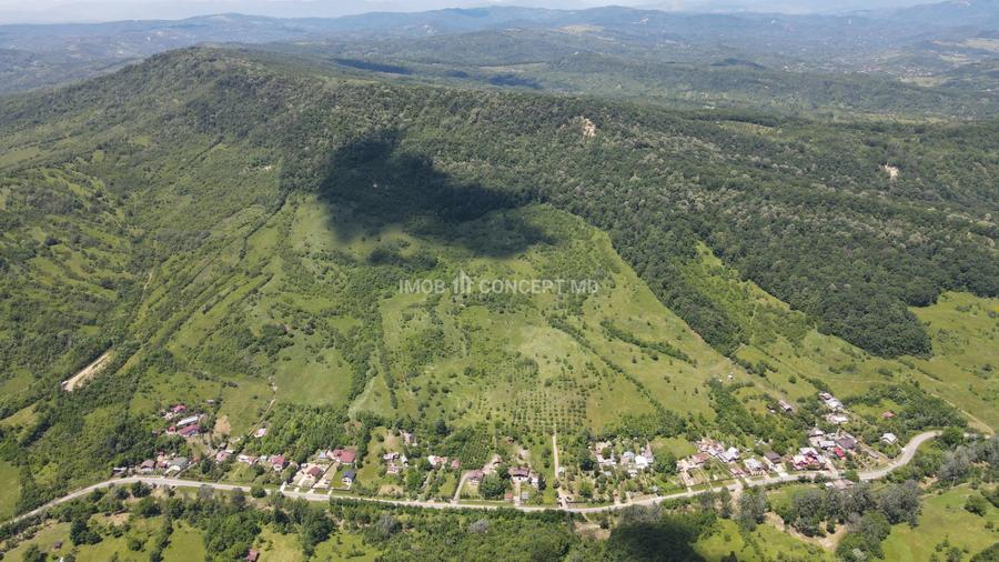 Teren spectaculos cu padure, livada si priveliste panoramica in Soimari PH