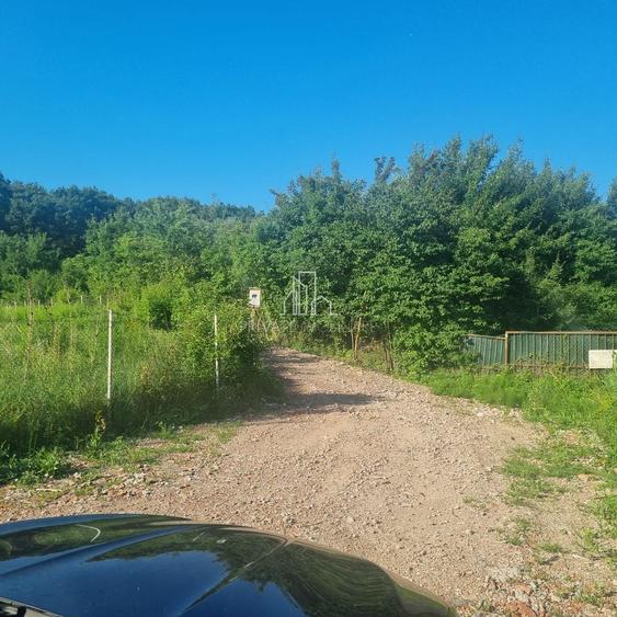Teren Extravilan/Padure 90 000 Mp de Vanzare Zona Corunca/Acatari