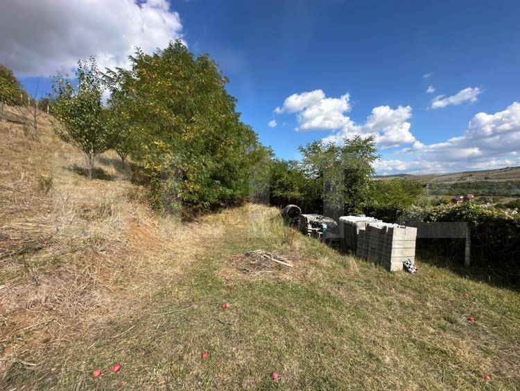 Teren intravilan, 2.700 mp, zona Viisoara