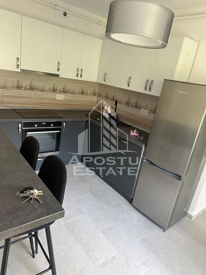 Doua apartamente la curte comuna , zona Iosefin