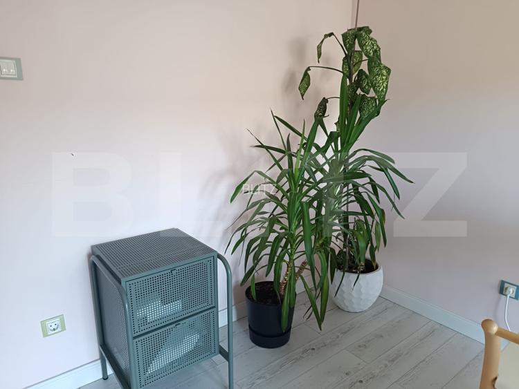 Casa 4 camere, 120 mp, curte 380 mp, zona Somesului - 16