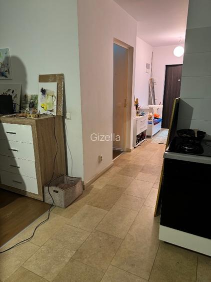 Apartanent in vila, cladire noua, aproape de centru, cu gradina privata de 40 mp - 15