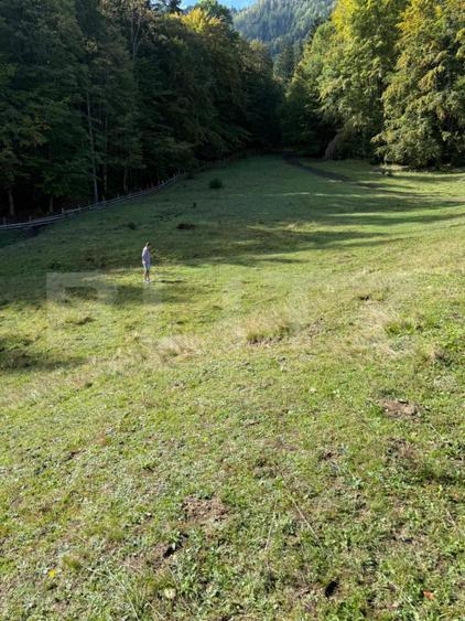 Teren intravilan 28 Ari zona Colibita