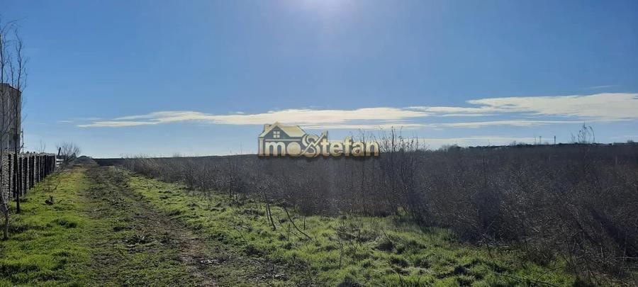 Teren Intravilan Vama Veche | 7.495 mp | Oportunitate Investiție