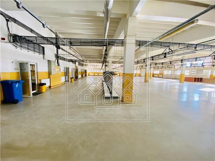 Spatiu industrial si de birouri in zona Terezian - finisaje moderne