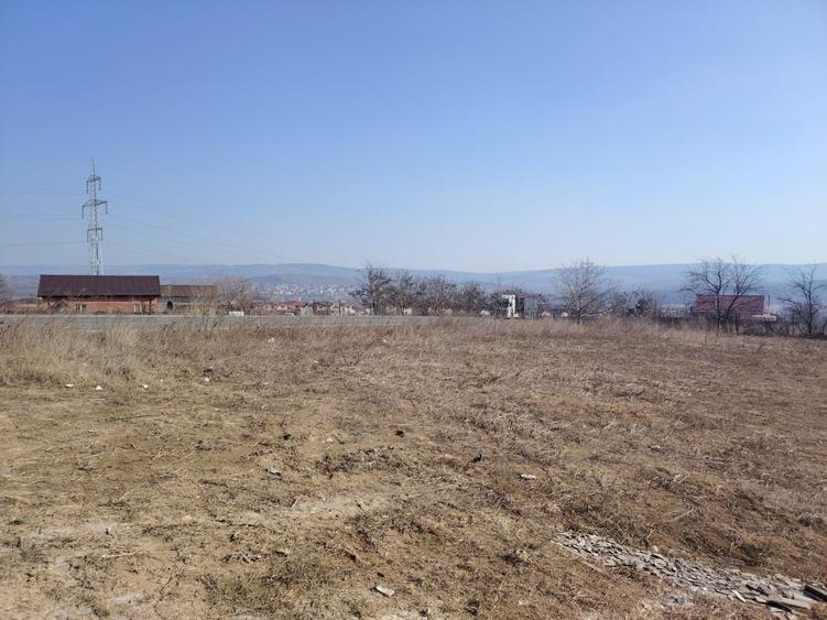 Teren Centura 3500 mp, intravilan