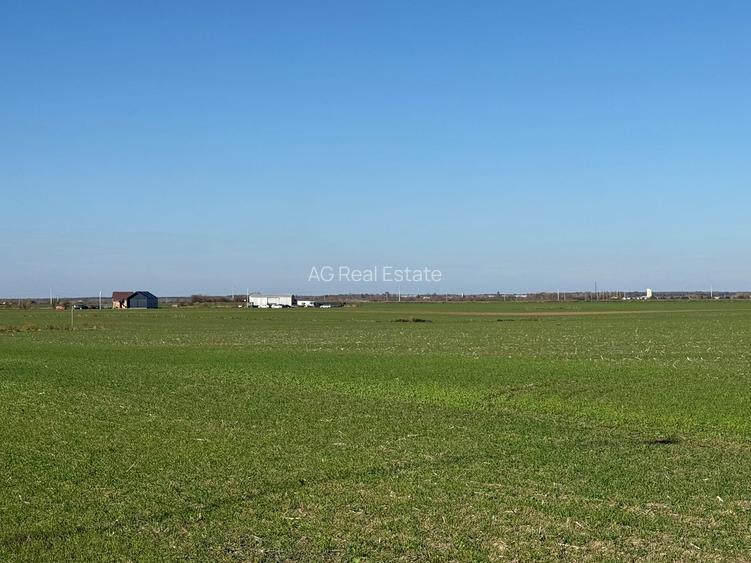 Teren Intravilan Branesti 4500mp Acces Asfalt si A2-deschidere 22ml - 8