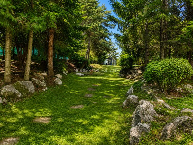 Lakefront Estate | 3.000 mp Teren | Ponton Privat | Snagov - 24