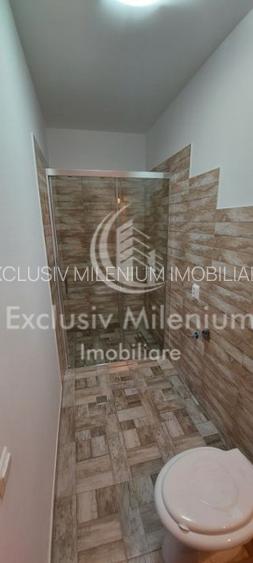 Vila / Casa Birouri Banu Manta-Basarab-Nicolae Titulescu - 7