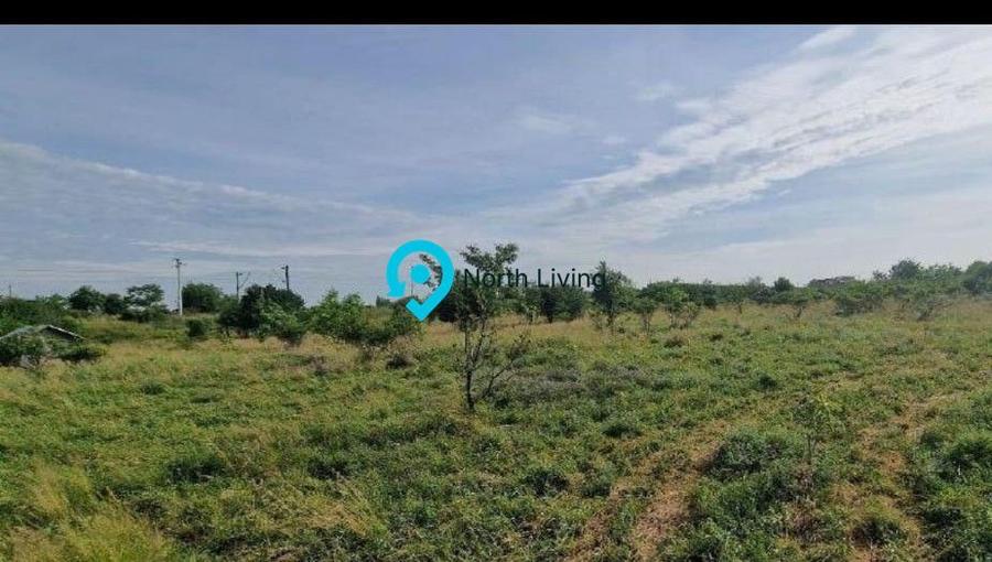Teren pretabil dezvoltator 6000 mp Domnesti