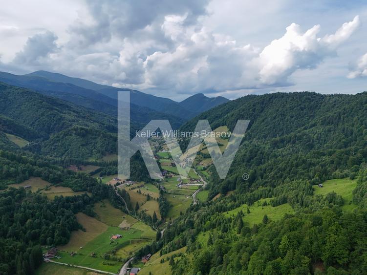 Teren de vanzare RUCAR -   ARGES - 6