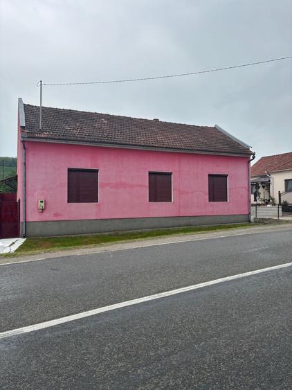 Casa de vanzare in Dobra