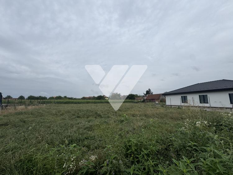 Teren 845 mp, front 16 m, utilitati si autorizatie construire - Vestem