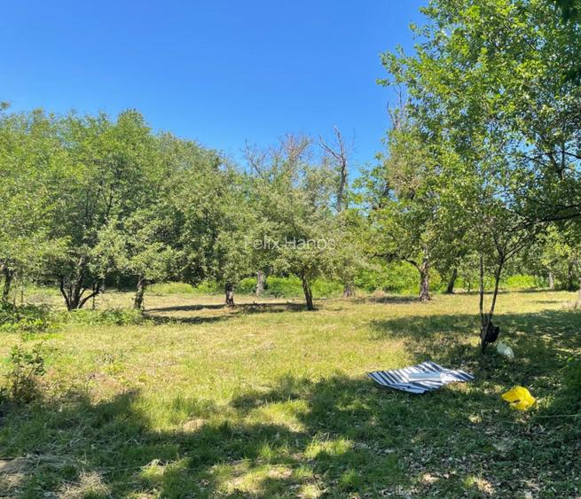 Teren intravilan 4.657 mp, colț Rozelor x Viilor, Coruia (Săcălășeni) – utilităț - 2