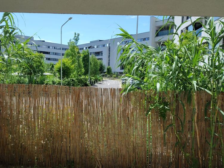 2 camere decomandat +Gradina proprie – Zona Mall Colosseum - 5
