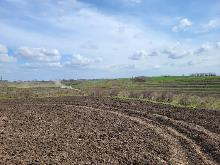 VANZARE TEREN PRUNDU INTRAVILAN AGRICOL GIURGIU POTENTIAL