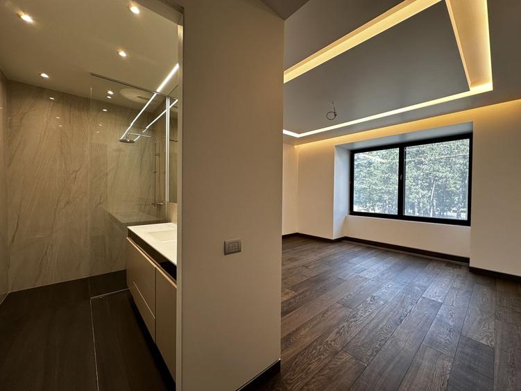 Penthouse Spatios si Rafinat pe Bulevardul Kiseleff