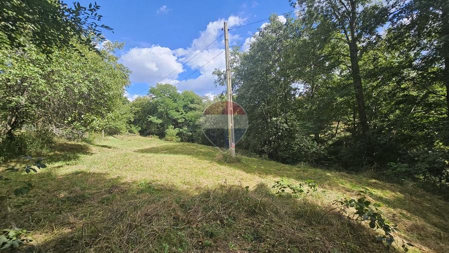 Casă individuală | 4 camere | Teren 4840 mp | Sohodol | Bran