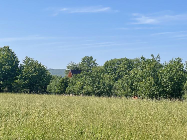 Teren Premium 1559 mp, Brebu Manastirei - Refugiu Montan la 120 km de Bucuresti,