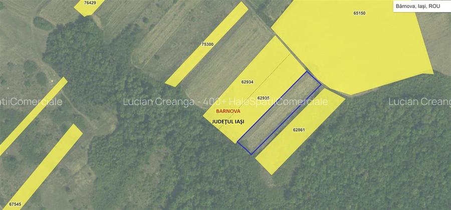 Teren langa padure pentru casa, Cercu, Barnova, de la 500mp la 4000mp - 5