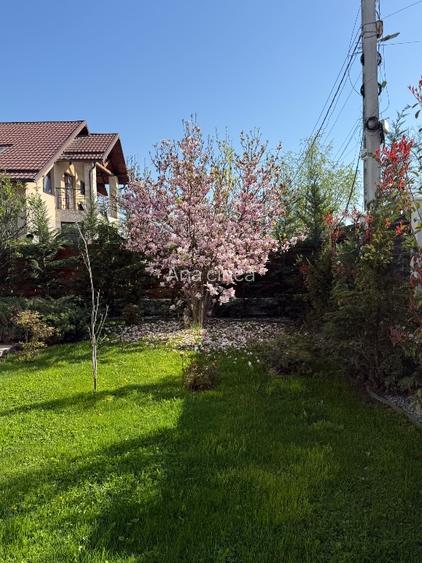 Vilă Superba în Chitila | Grădină 1.390 mp & Piscină | Direct Proprietar | Liber - 14