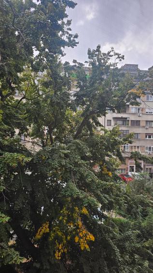 Apartament in Piata Națiunilor Unite