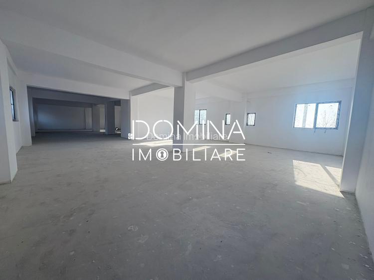 Spații pentru birouri și servicii - 319 mp/nivel - zona Coloana Infinitului - 8