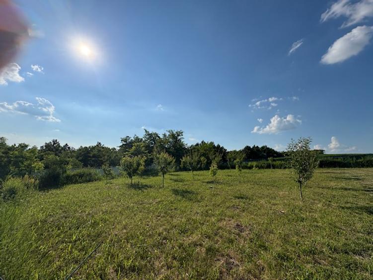 Teren intravilan, 695mp, 28m deschidere,drept, Valea Lupului!