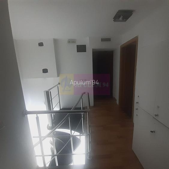 Spatiu Comercial Stradal Șoseaua Colentina zona Teiul Doamnei Suveica - 38