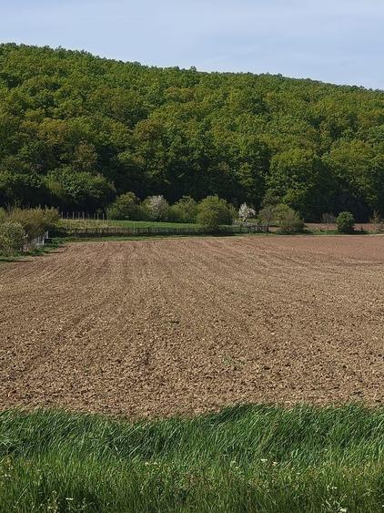 Teren intravilan, 1600 mp, utilitati in zona, Ampoita, Alba Iulia