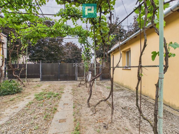 Casă + 2.877 mp teren în Timișoara - 18