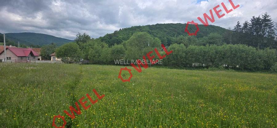 Teren extravilan de vânzare în Barcani, sat Sărămaș! - 7