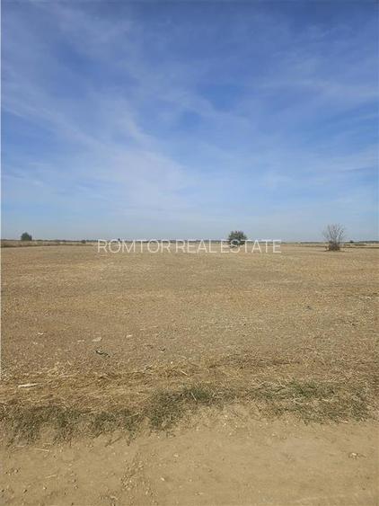 Oportunitate Investitie - Dragomiresti Vale - Zurbaua - A1 - A0 - sos Centura - 10