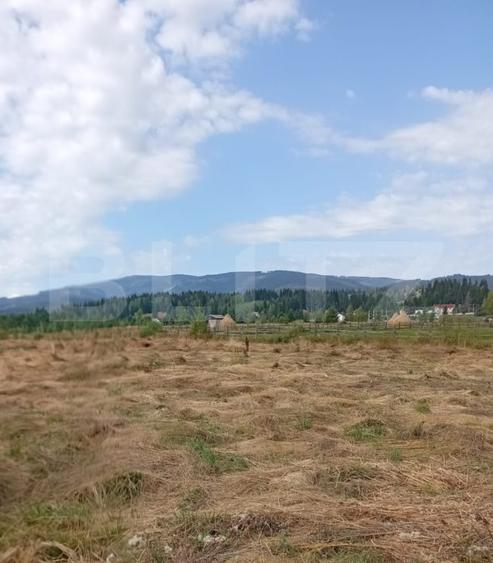 Vânzare teren intravilan, 3850 mp, Panaci