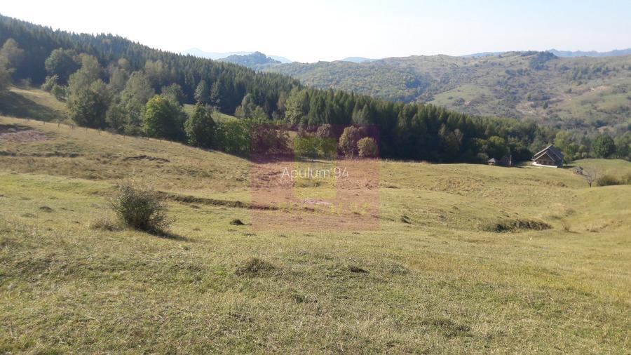 Teren intravilan de vanzare in Breaza (dezvoltare imobiliara) - 7