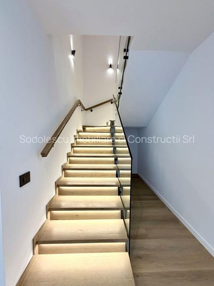 PROIECT DEOSEBIT ZONA LIPOVEI - 10