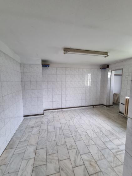 Imobil format din 2 corpuri individuale,un singur proprietar, zona Iancului