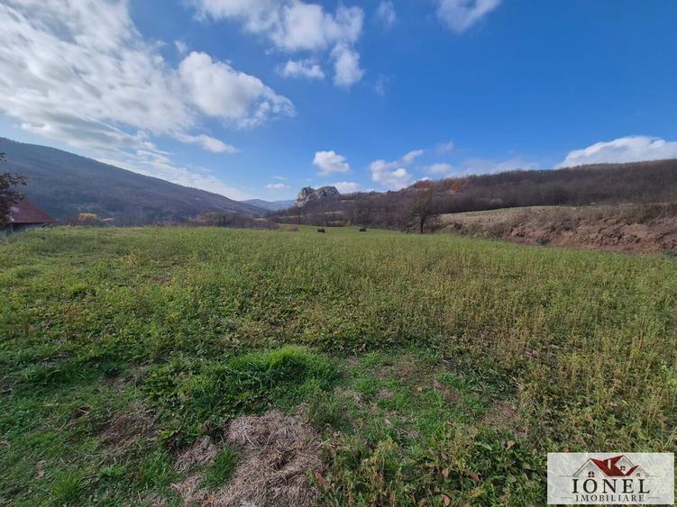 Teren de vanzare in Ampoita