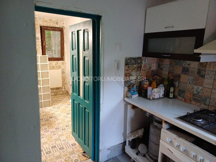 Vrancea - Nistoresti ! Vanzare ! Vila cu personalitate si potential turistic ! - 7