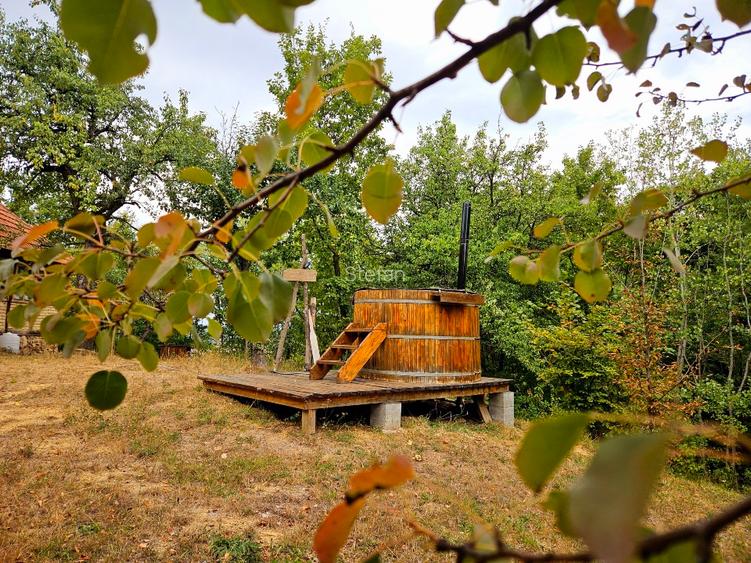 Poiană privată, pădure și cabană | Proprietate cu potențial turistic - 5